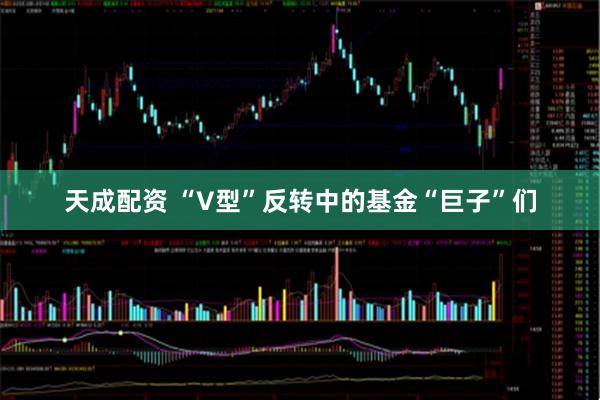 天成配资 “V型”反转中的基金“巨子”们