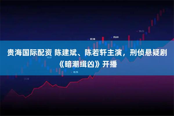 贵海国际配资 陈建斌、陈若轩主演，刑侦悬疑剧《暗潮缉凶》开播