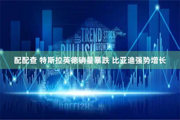 配配查 特斯拉英德销量暴跌 比亚迪强势增长