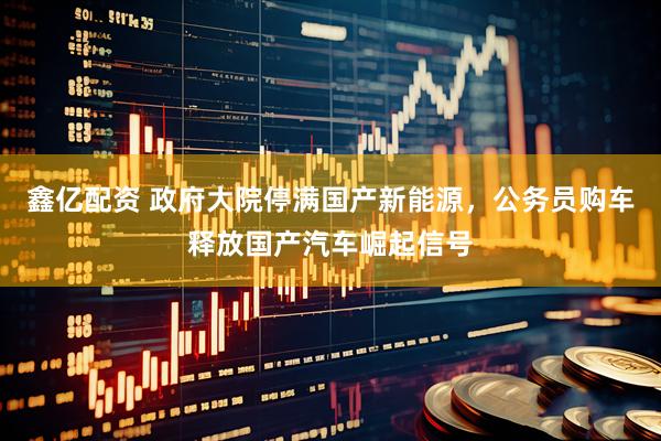 鑫亿配资 政府大院停满国产新能源，公务员购车释放国产汽车崛起信号