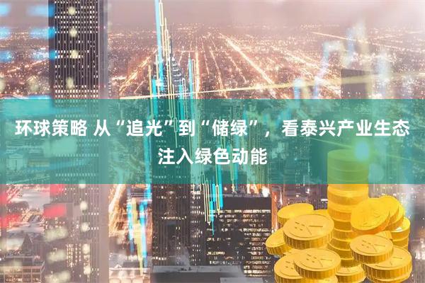 环球策略 从“追光”到“储绿”，看泰兴产业生态注入绿色动能