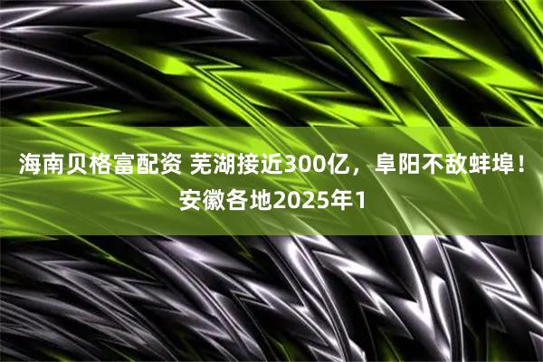 海南贝格富配资 芜湖接近300亿,阜阳不敌蚌埠!安徽各地2025年1